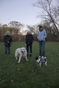 20251104_Dog park__DSC0232_.jpg