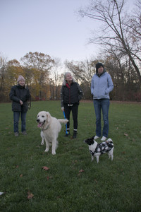 20251104_Dog park__DSC0233_.jpg