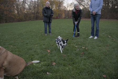 20251104_Dog park__DSC0236_.jpg