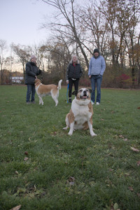 20251104_Dog park__DSC0238_.jpg