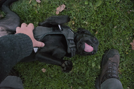 20251104_Dog park__DSC0272_.jpg
