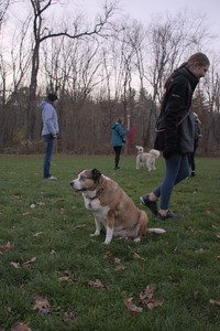 20251104_Dog park__DSC0286_.jpg