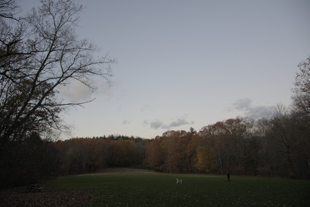 20251106_Dog park and flash stuff__DSC0026_.jpg