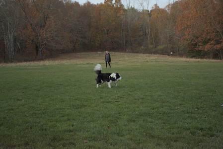 20251106_Dog park and flash stuff__DSC0066_.jpg