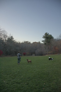 20251106_Dog park and flash stuff__DSC0095_.jpg