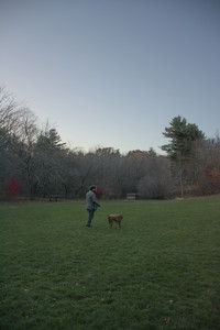 20251106_Dog park and flash stuff__DSC0096_.jpg