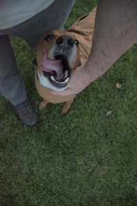 20251106_Dog park and flash stuff__DSC0099_.jpg