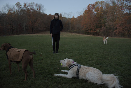 20251106_Dog park and flash stuff__DSC0100_.jpg