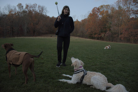 20251106_Dog park and flash stuff__DSC0104_.jpg