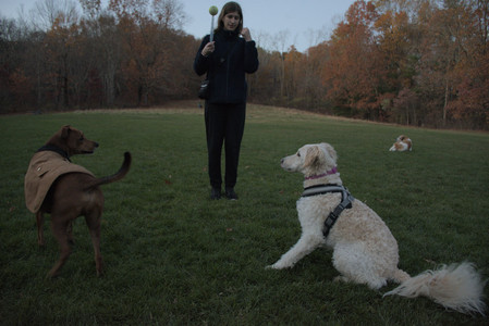 20251106_Dog park and flash stuff__DSC0106_.jpg