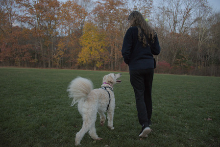 20251106_Dog park and flash stuff__DSC0107_.jpg