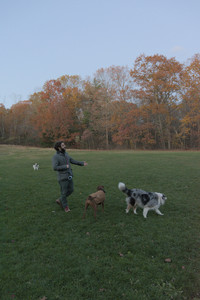 20251106_Dog park and flash stuff__DSC0111_.jpg