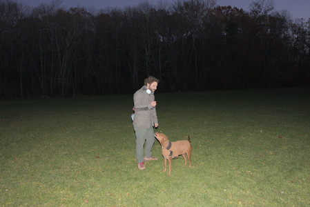 20251106_Dog park and flash stuff__DSC0129_.jpg