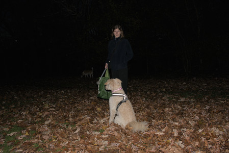 20251106_Dog park and flash stuff__DSC0141_.jpg