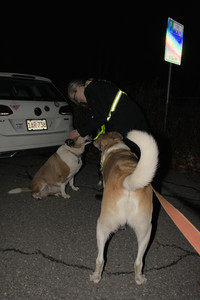 20251106_Dog park and flash stuff__DSC0145_.jpg