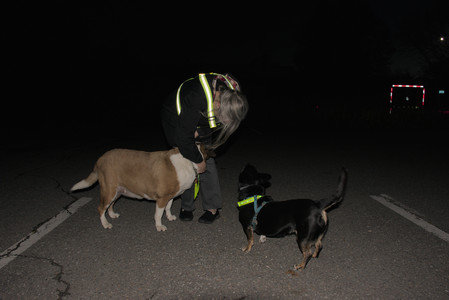 20251106_Dog park and flash stuff__DSC0147_.jpg