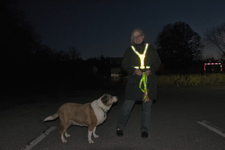 20251106_Dog park and flash stuff__DSC0148_.jpg
